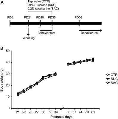 Concurrent and Delayed Behavioral and Monoamine Alterations by Excessive Sucrose Intake in Juvenile Mice